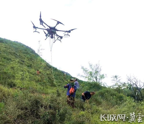 无人机种树 河北省井陉县雨季荒山造林用上新科技